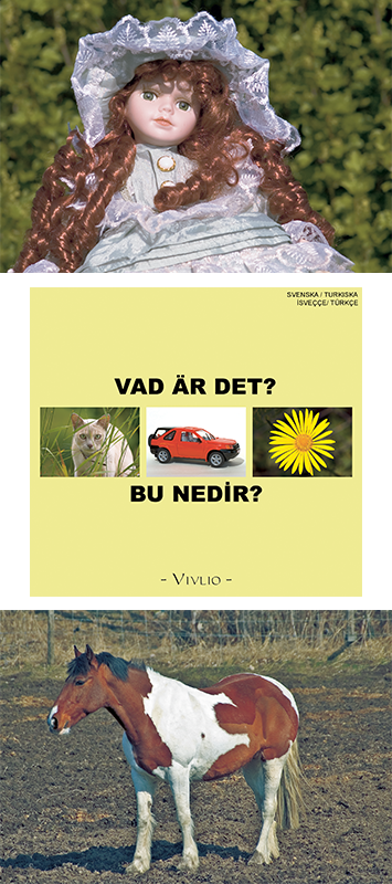 Vad är det?