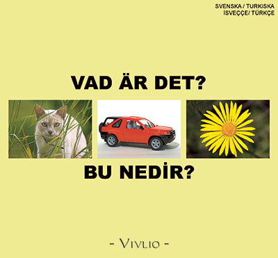 Vad är det?